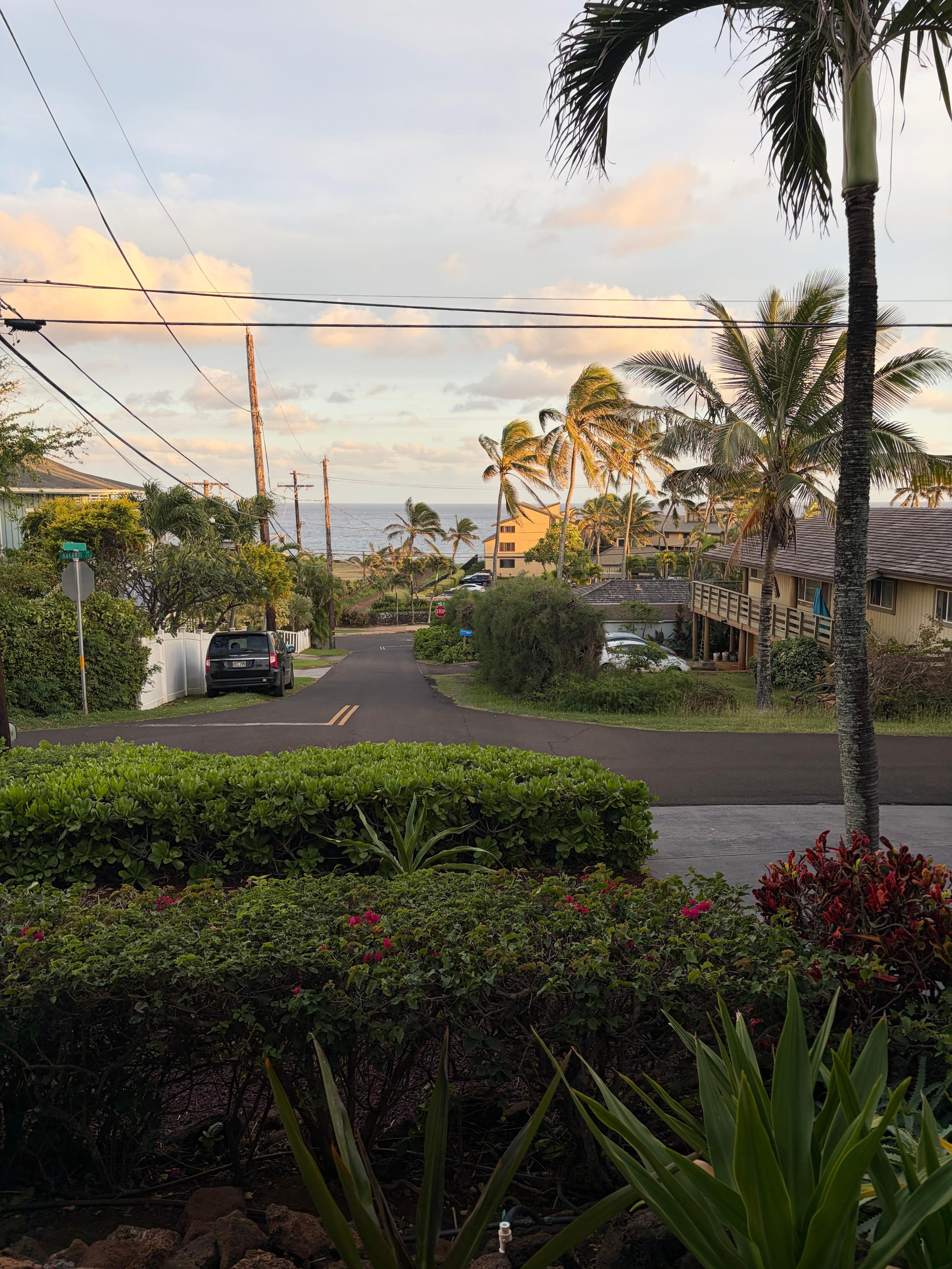 View from deck which is better than the picture captures. 