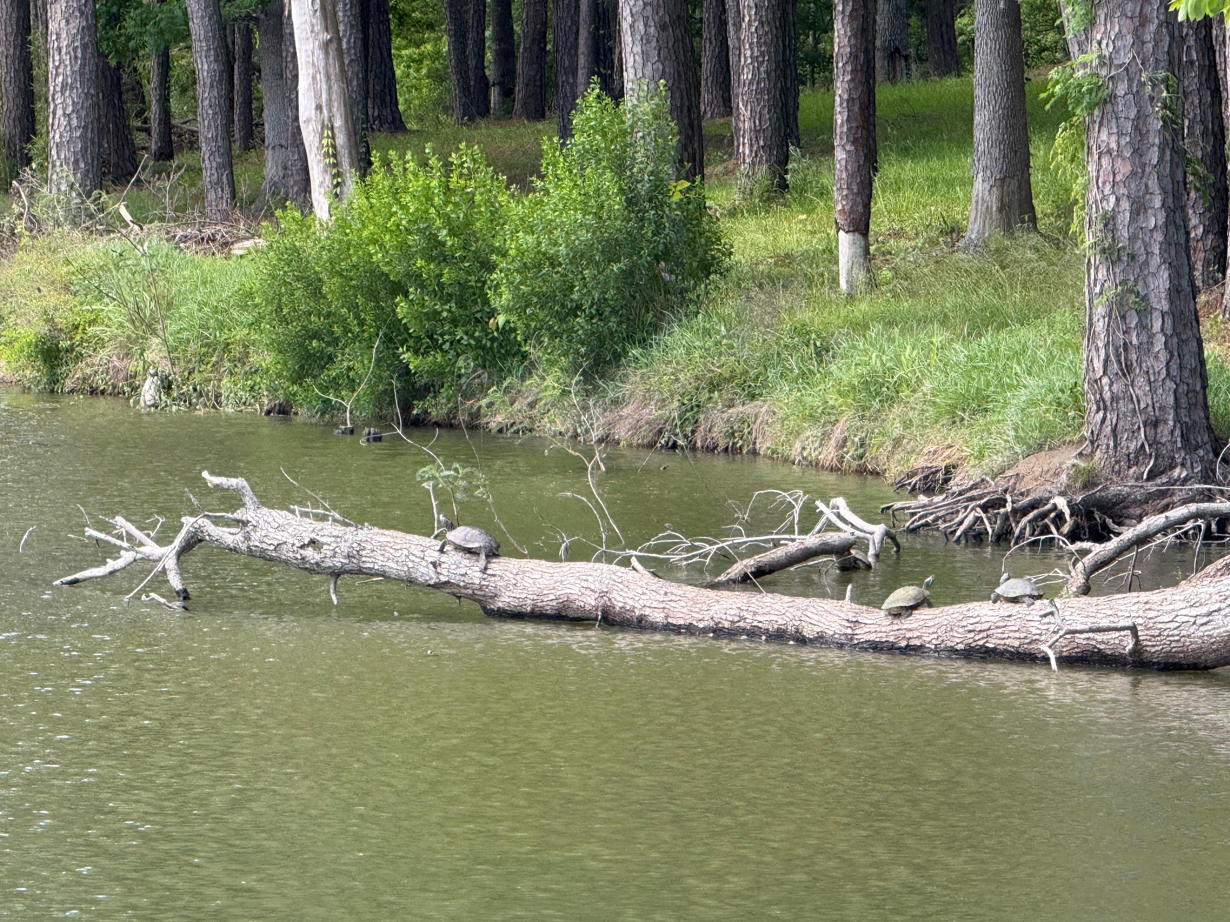 Small reservoir by the Marina