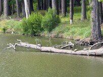 Small reservoir by the Marina