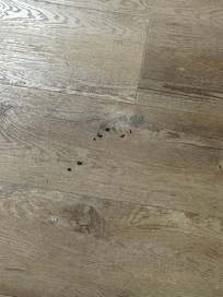 Burn holes in floor of non-smoking room