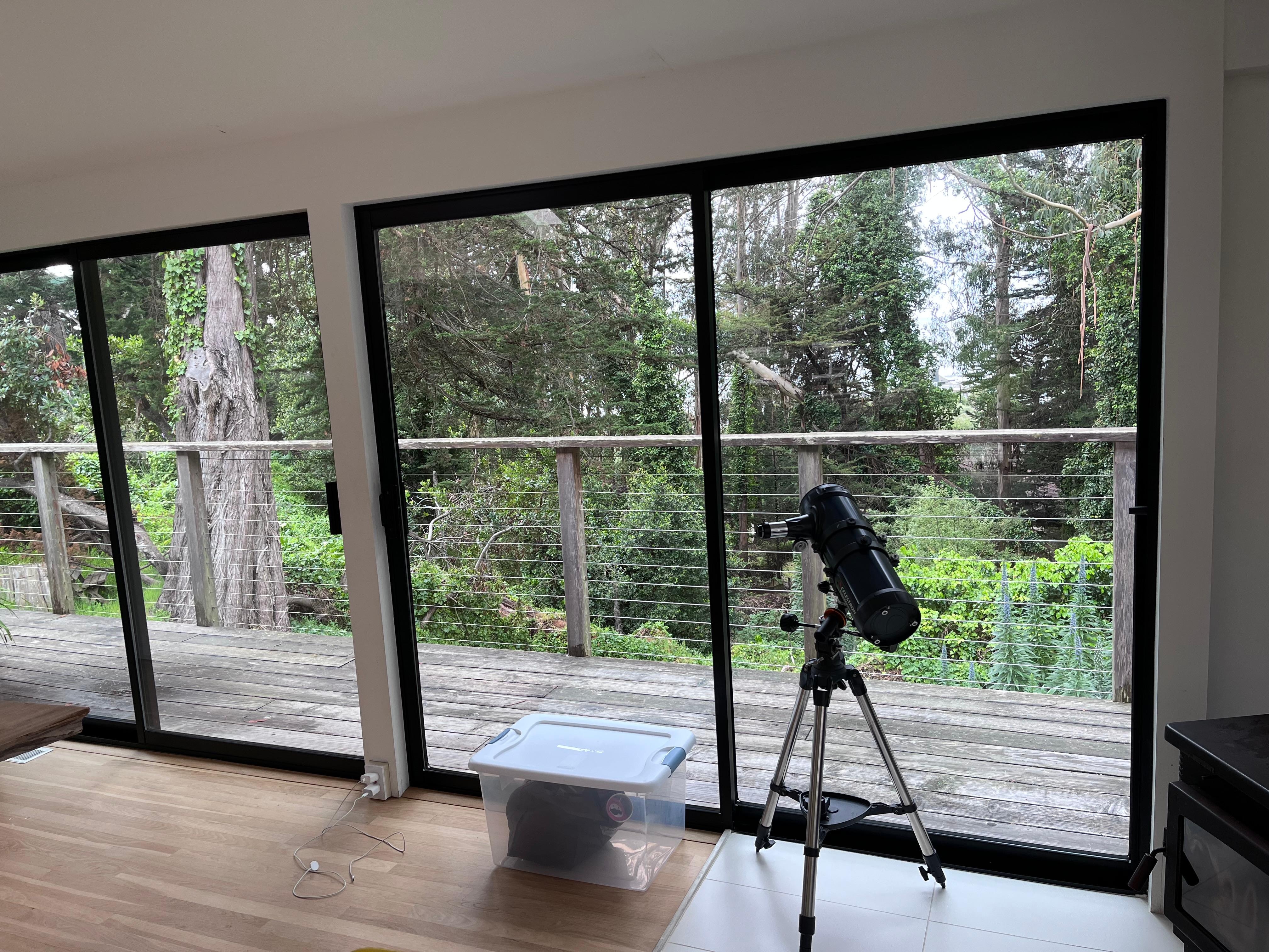 Ocean view through the trees