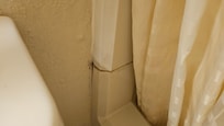 Mold