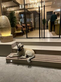 Friendly visitor at front entrance