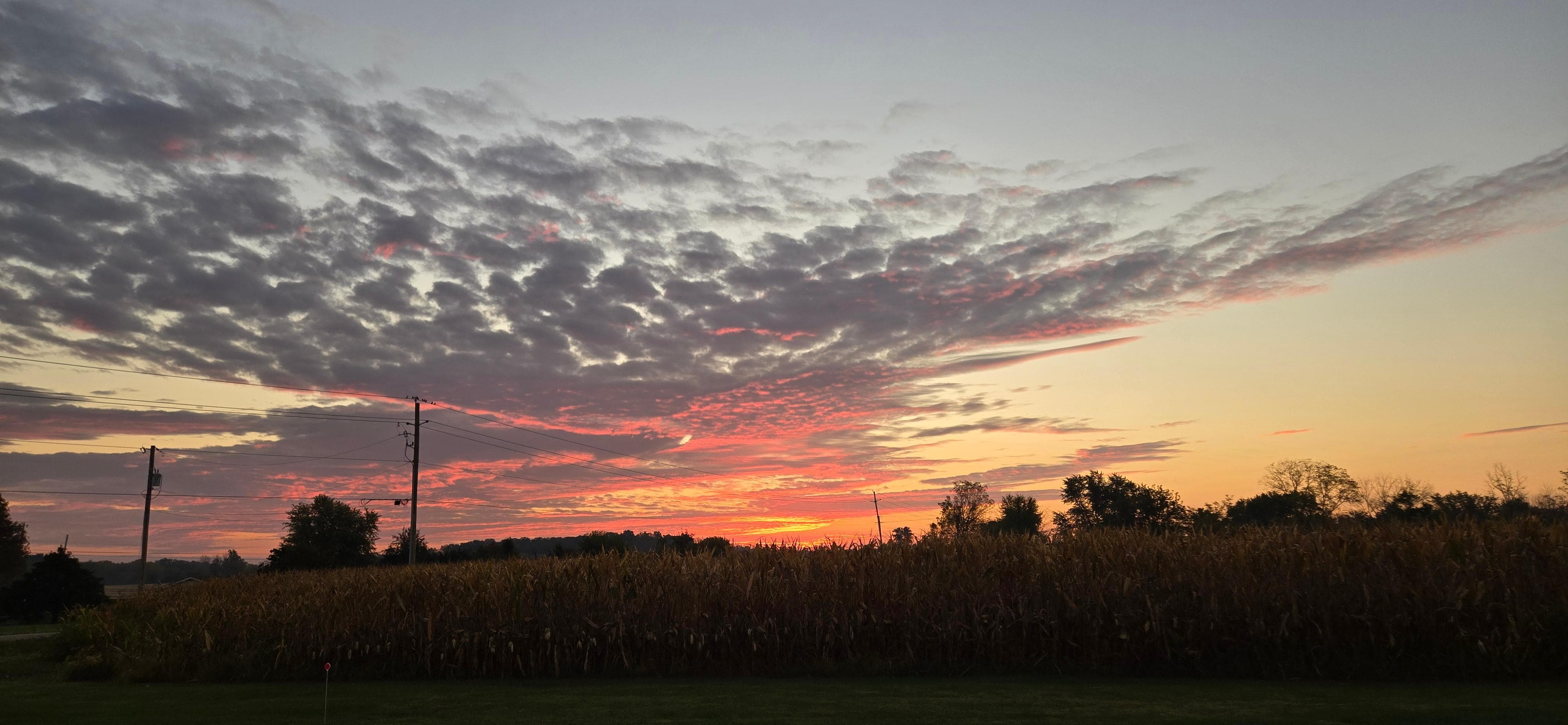 Sunrise from the courtyard 