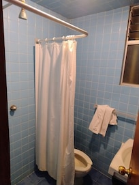 La cortina, corta. Al bañarse se hacia un encharcamiento. Podria haber un accidente.