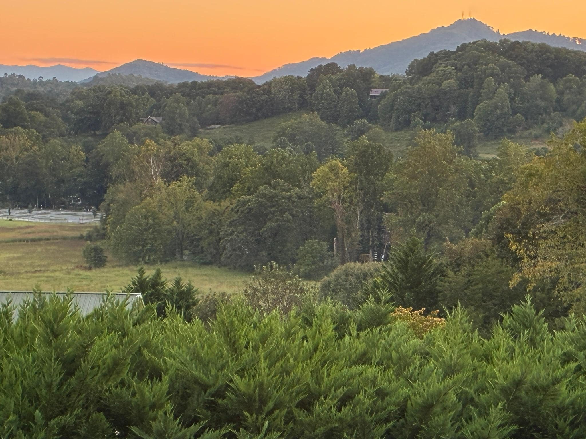 More of the front porch view.