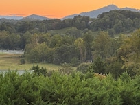 More of the front porch view.