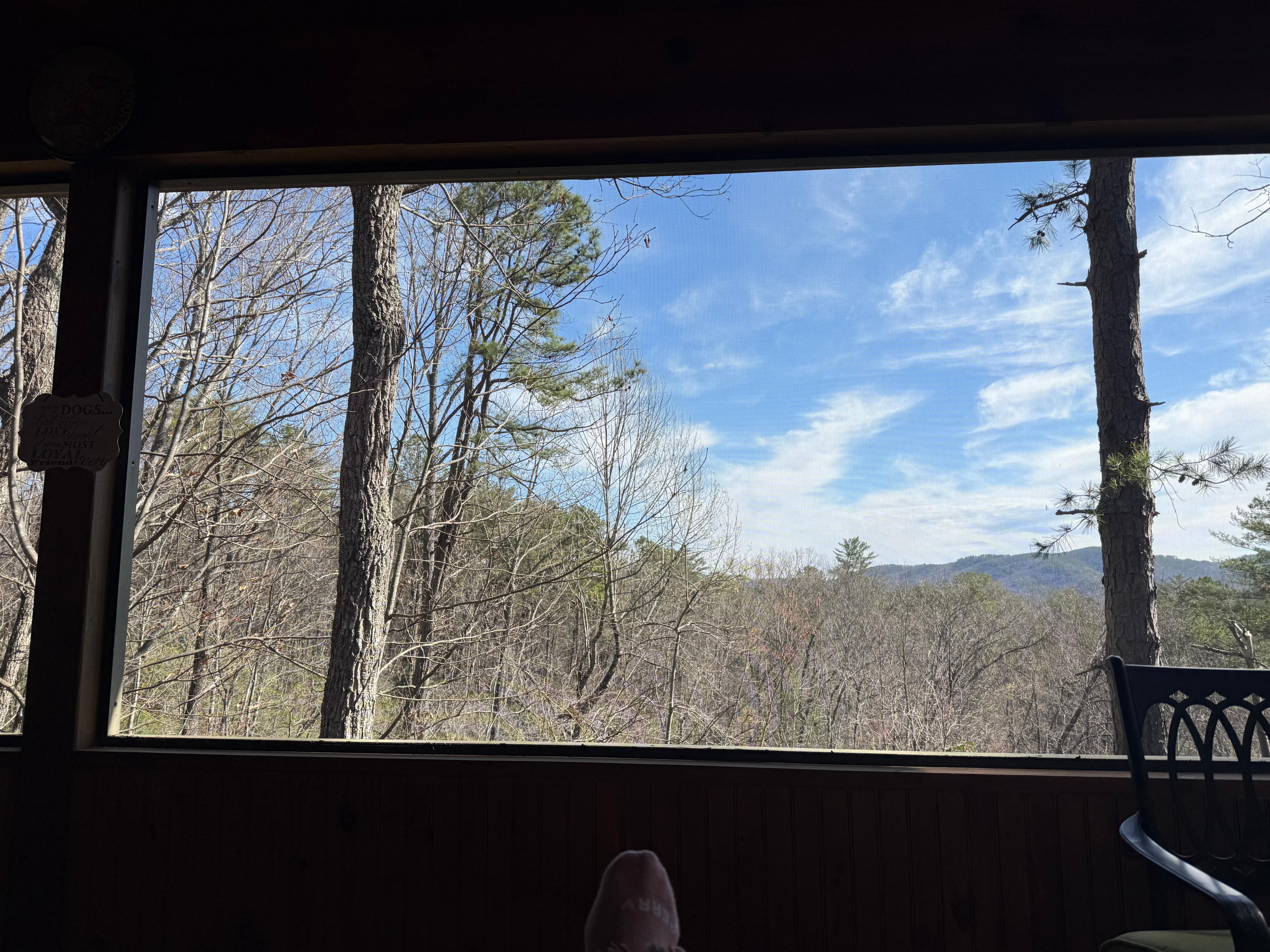 View from screened in back porch on main level