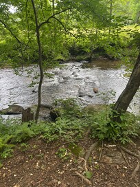 View of the creek