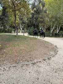 Park- Mostra dell'Acqua Felice