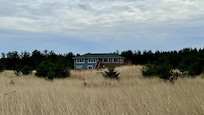 Looking back to the house from the dunes!