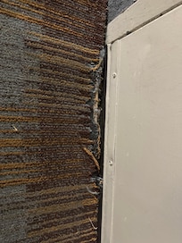 Capet frayed at door