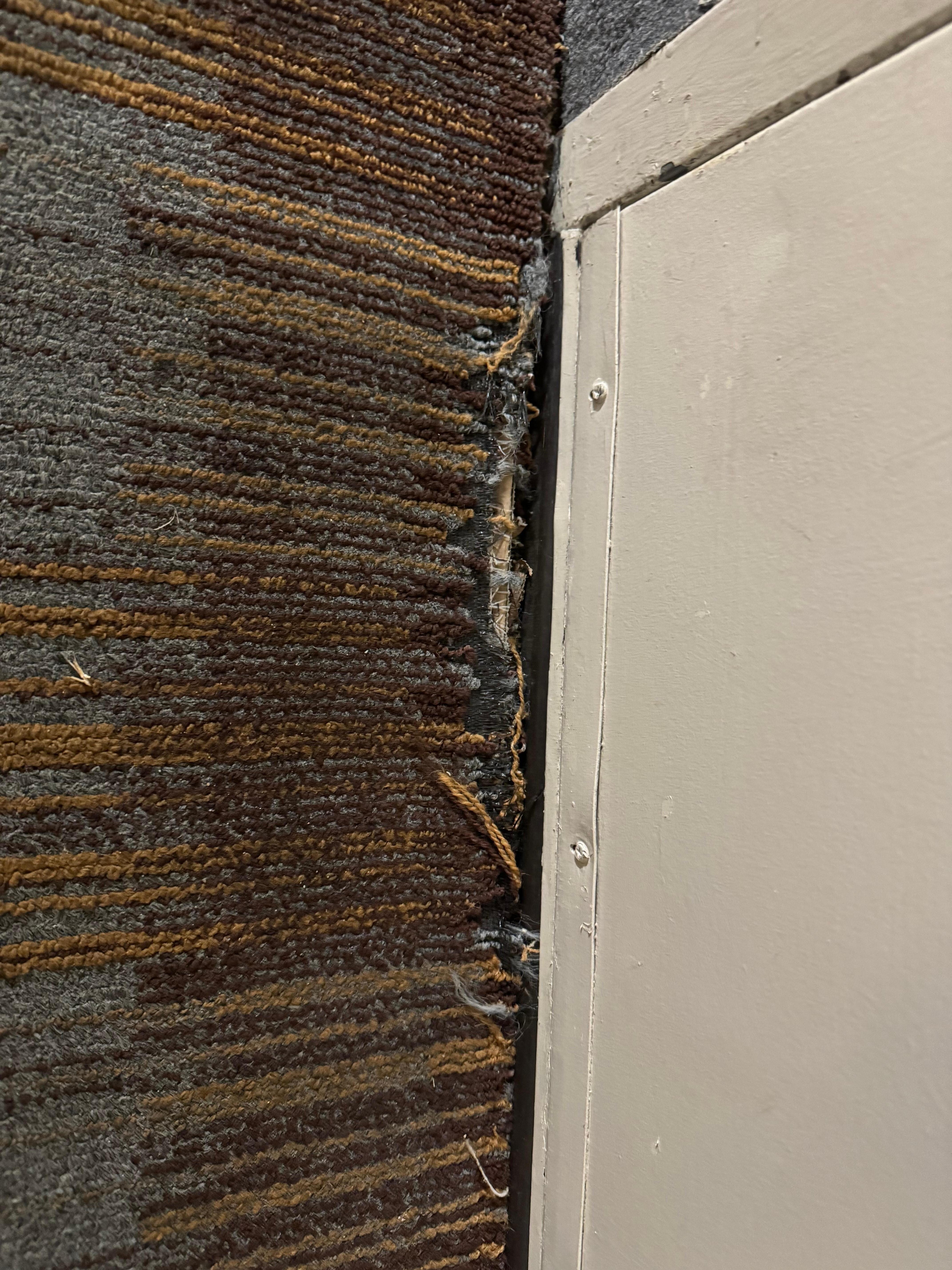 Capet frayed at door