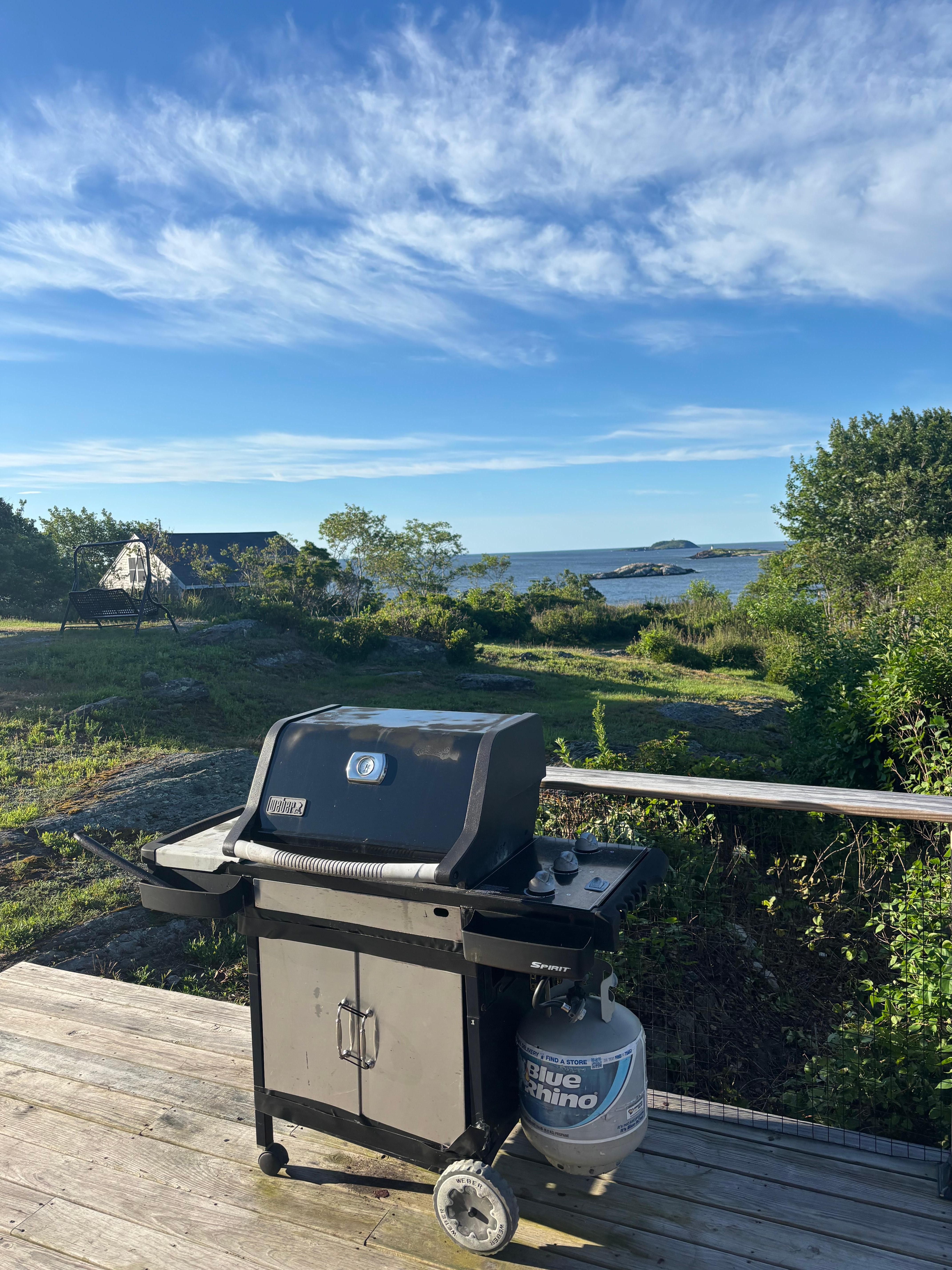 Looking out from the grill