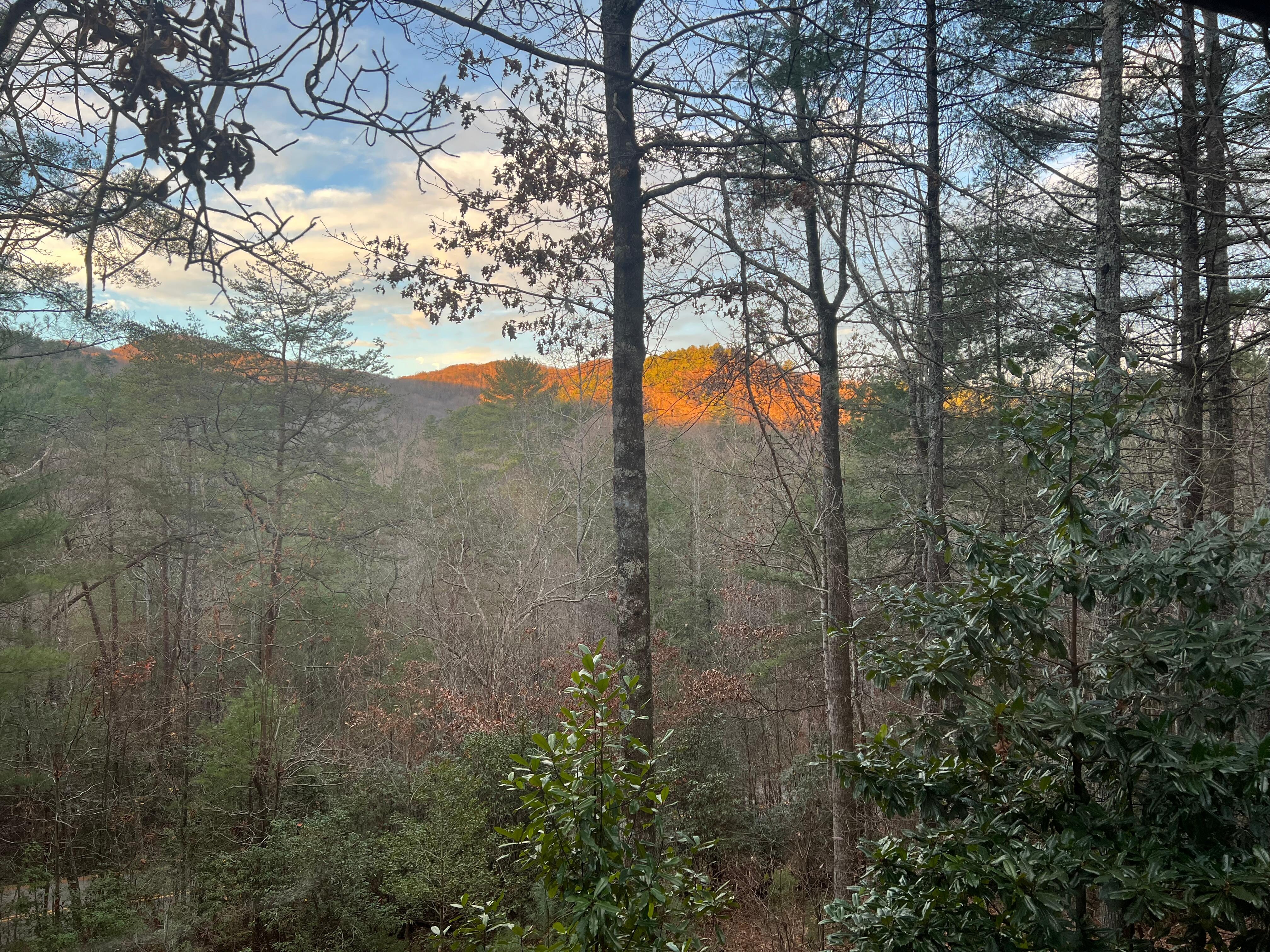 Beautiful view we got to look at every morning while drinking our coffee! 