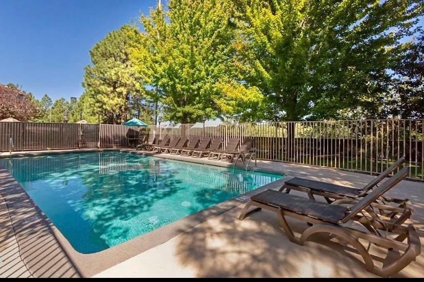 The beautiful pool area with shade. 