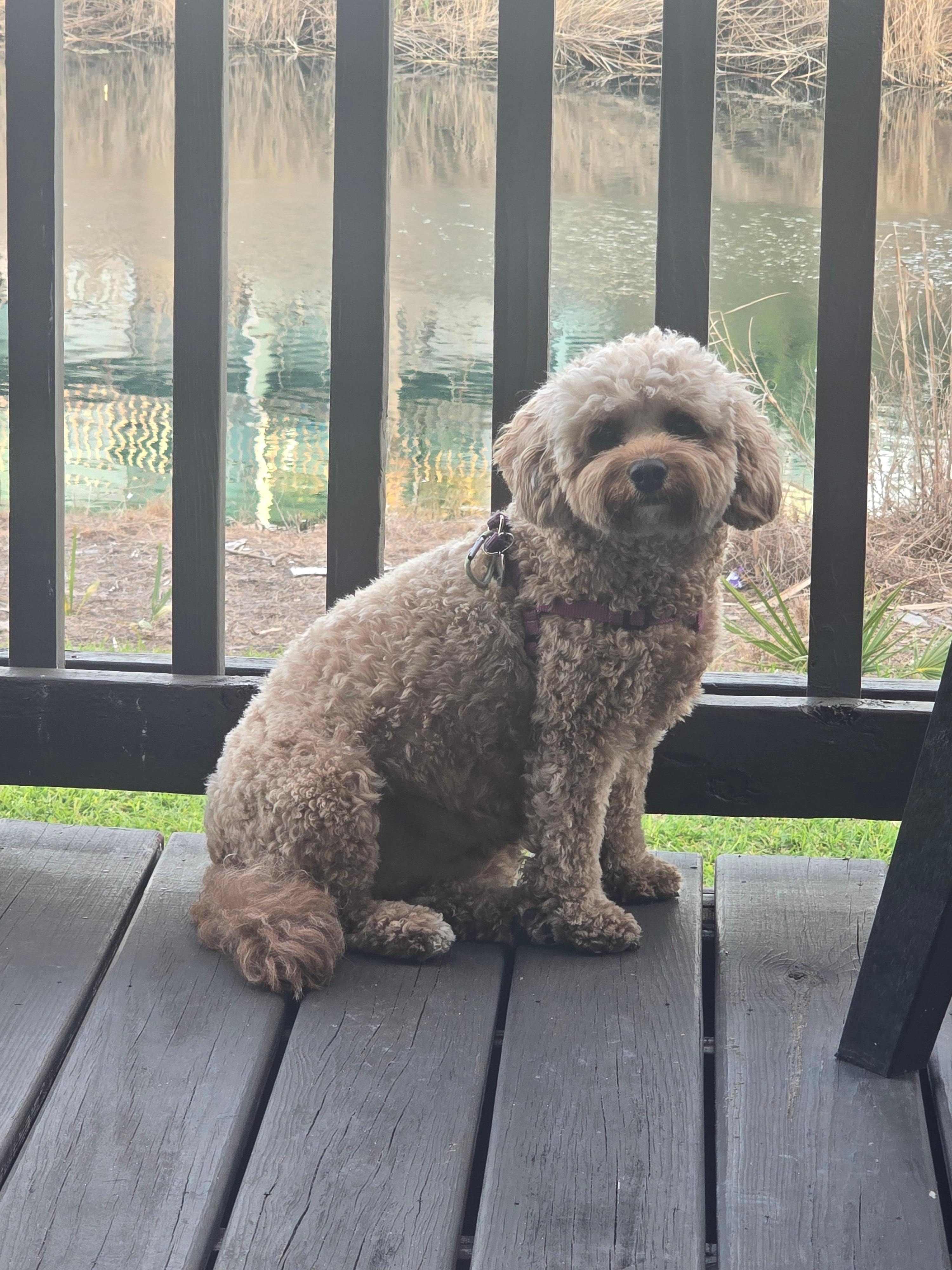 Molly enjoying her stay.