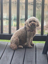 Molly enjoying her stay.