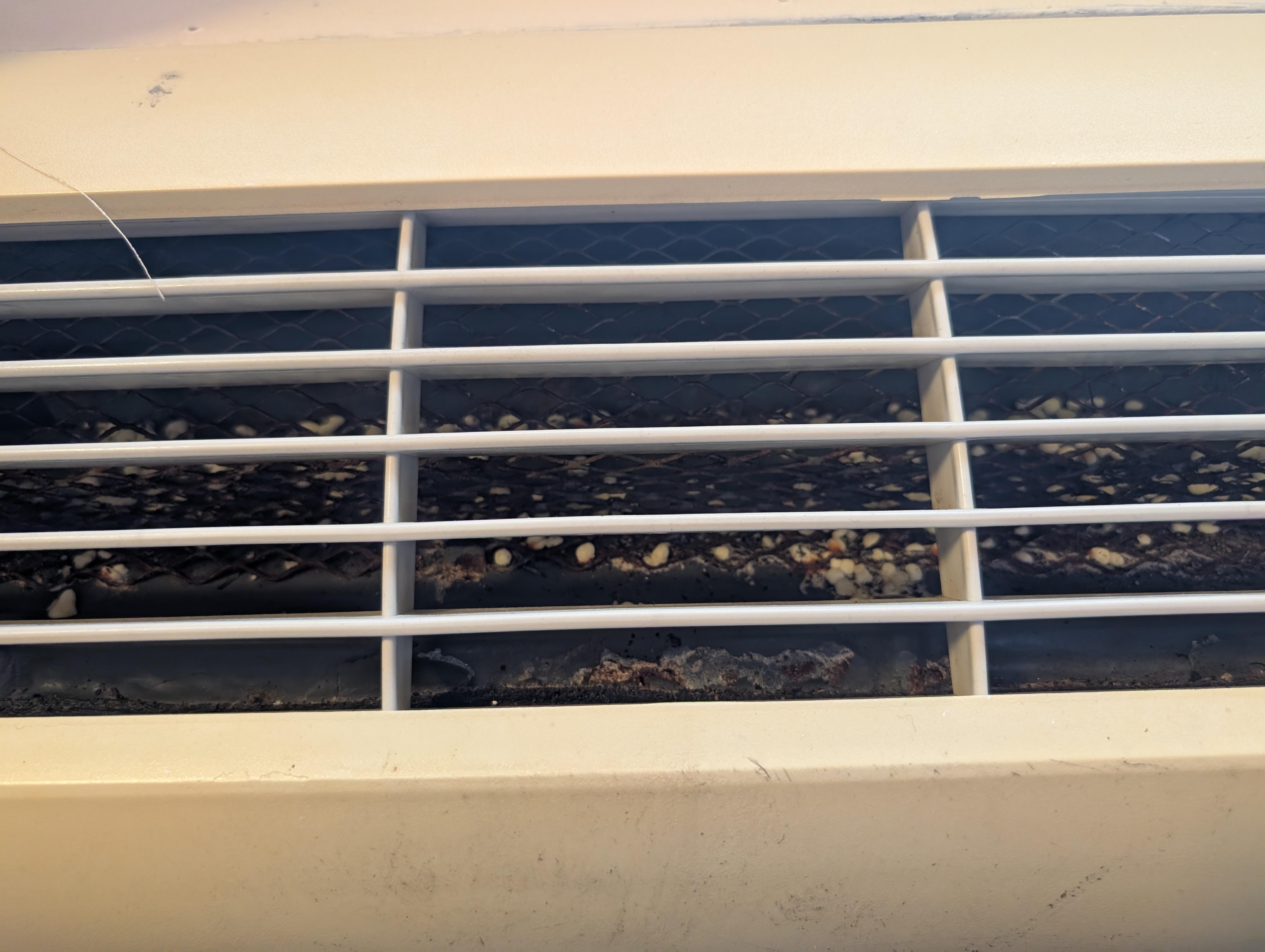 Rotten food or mold in AC vent