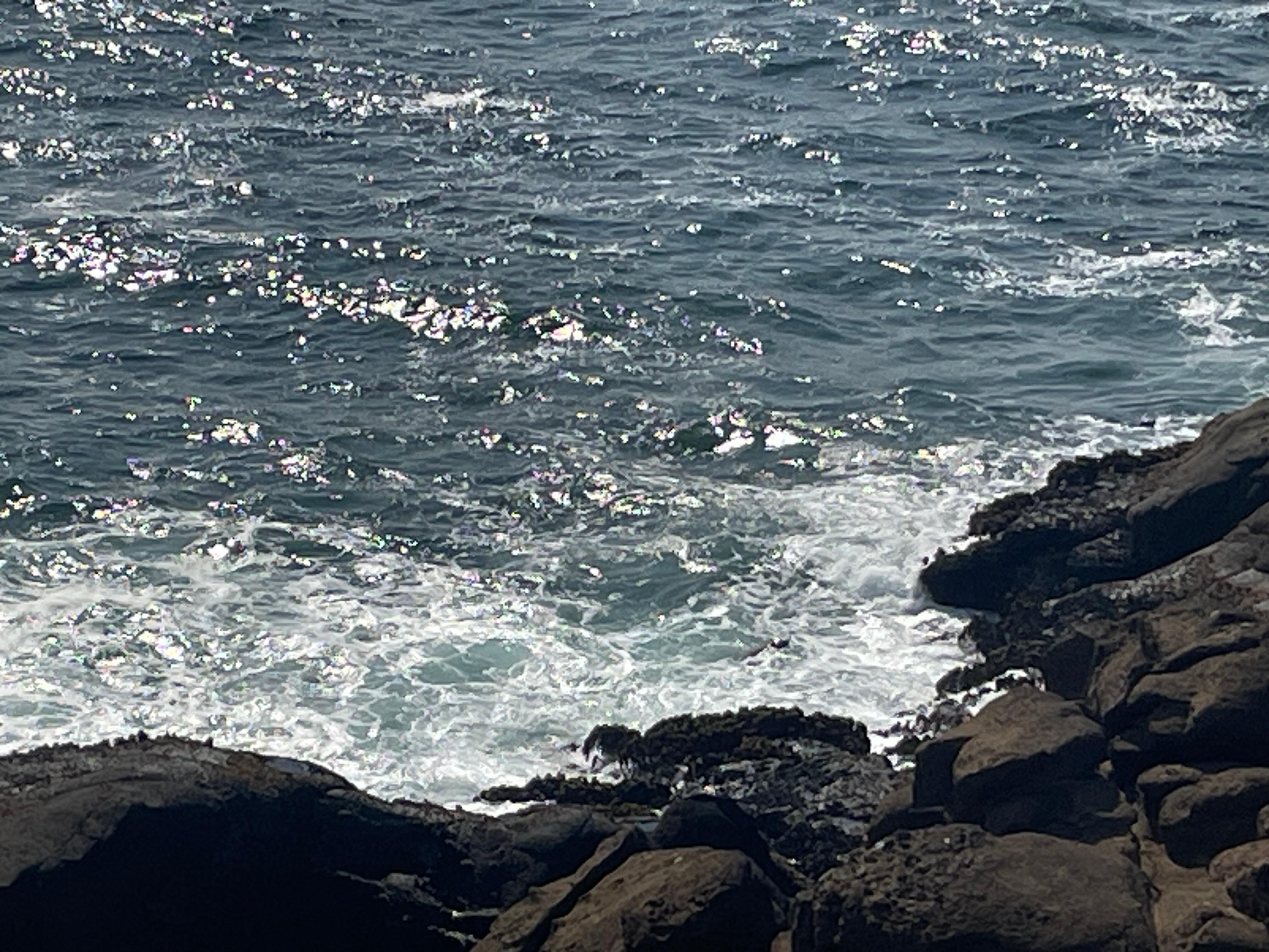 Ocean view