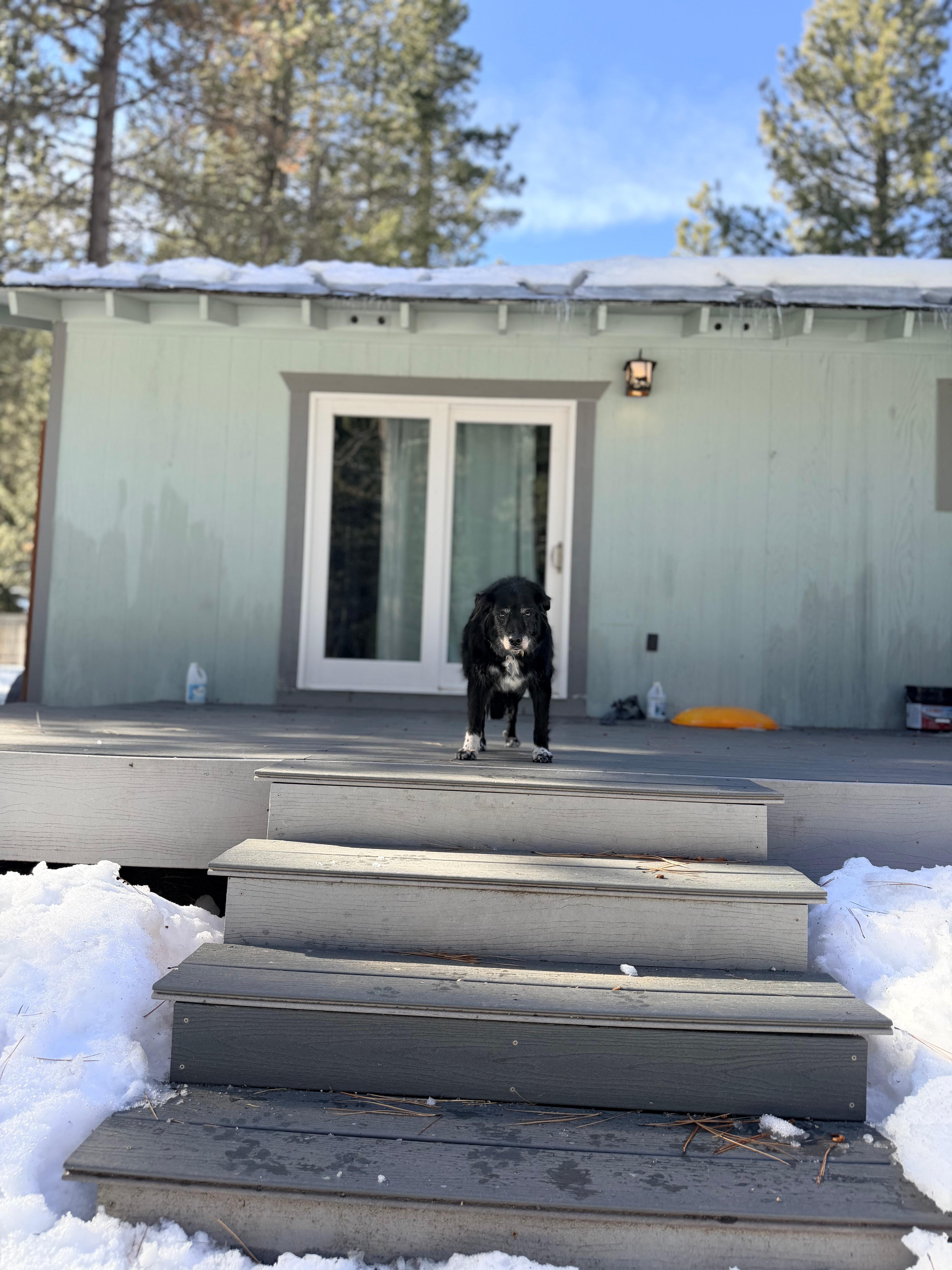 Old lady on the deck 