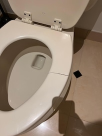Broken toilet seat.