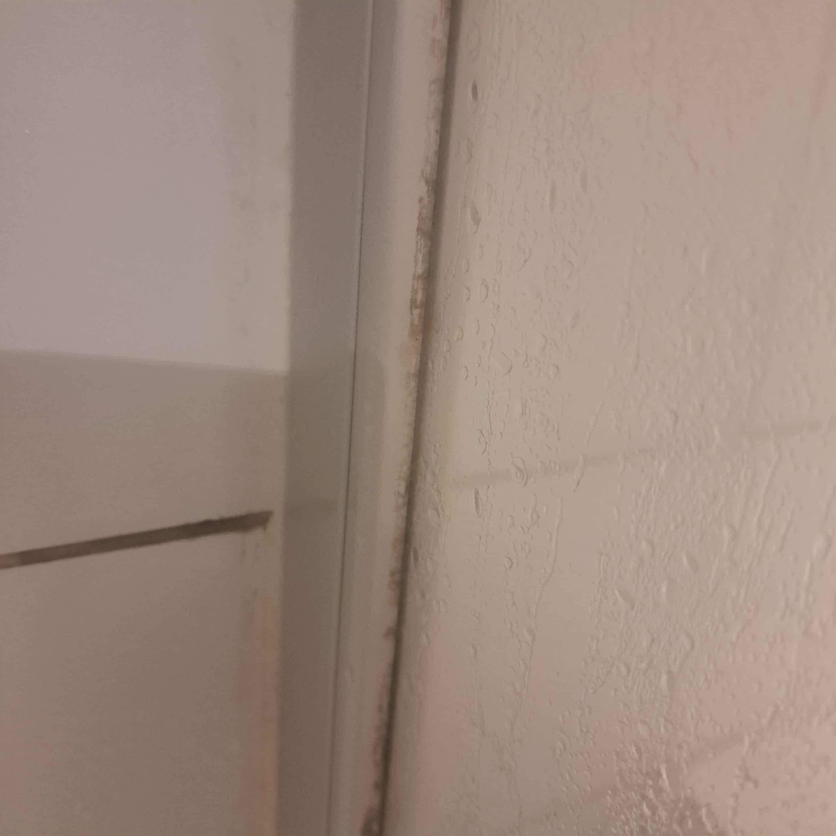 Black mold in shower