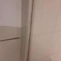 Black mold in shower
