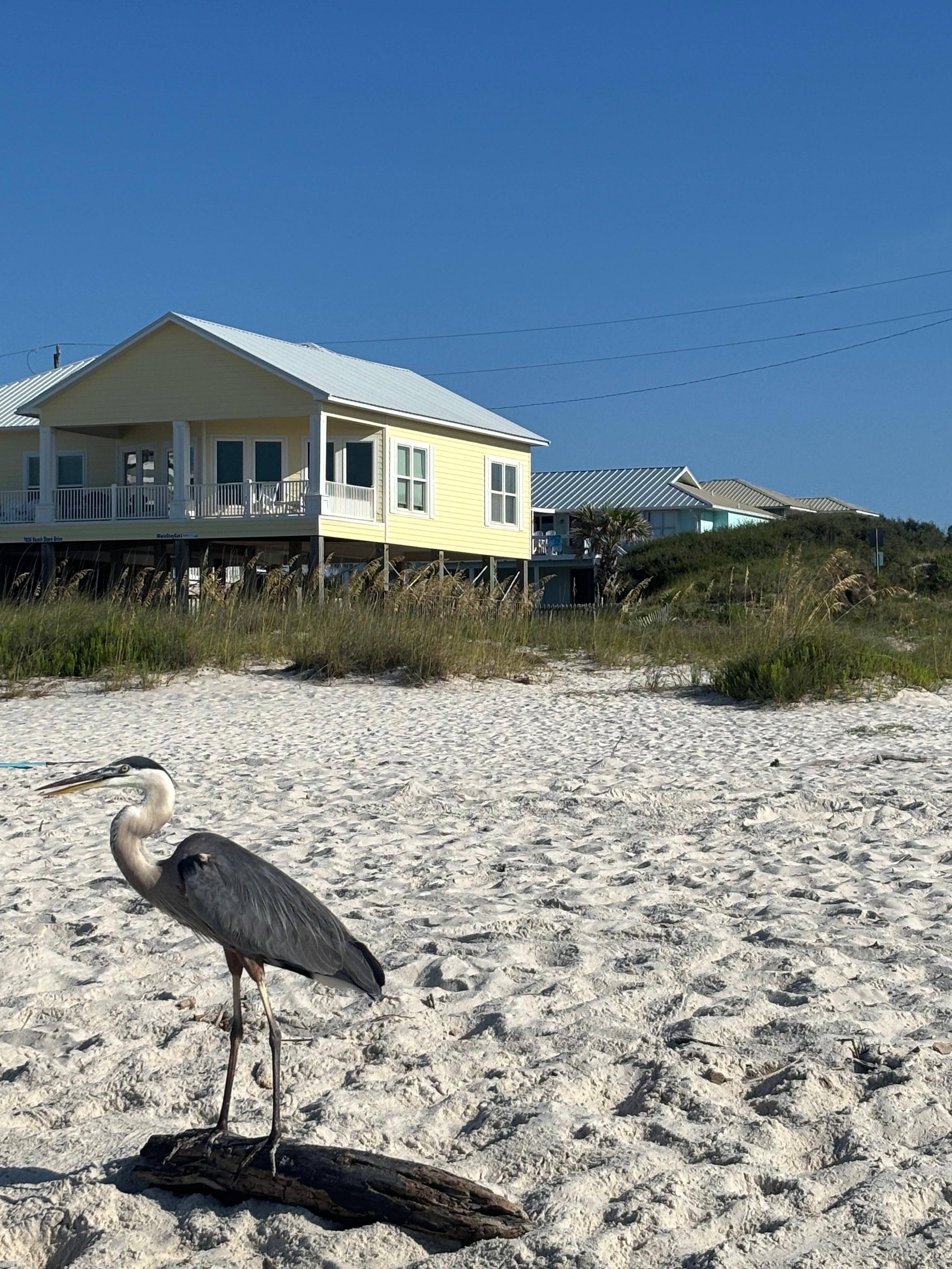 Loved that it was the last house in this hood....made for a beach area that wasn't too crowded. 