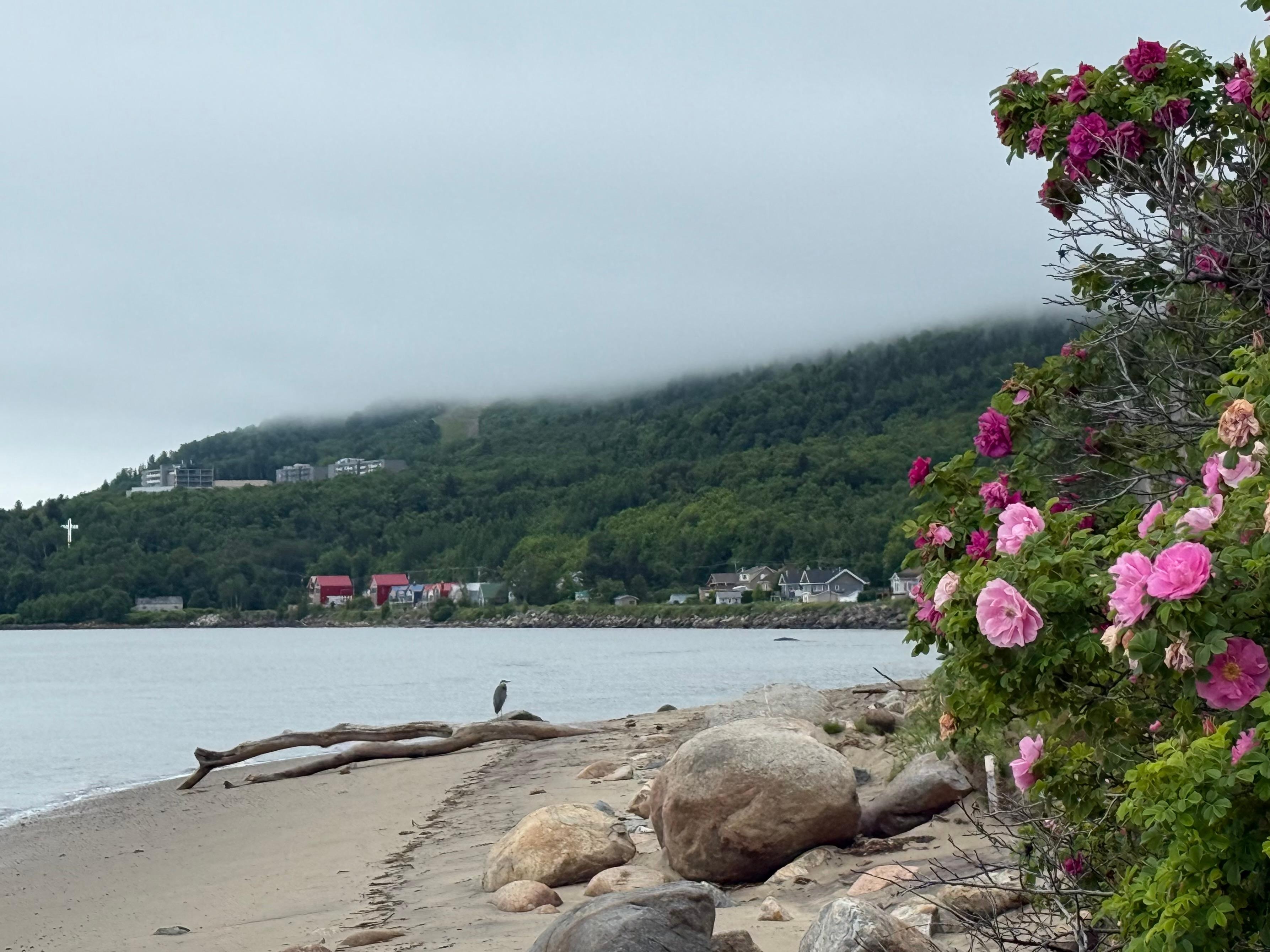 Beautiful environment close to little beach 