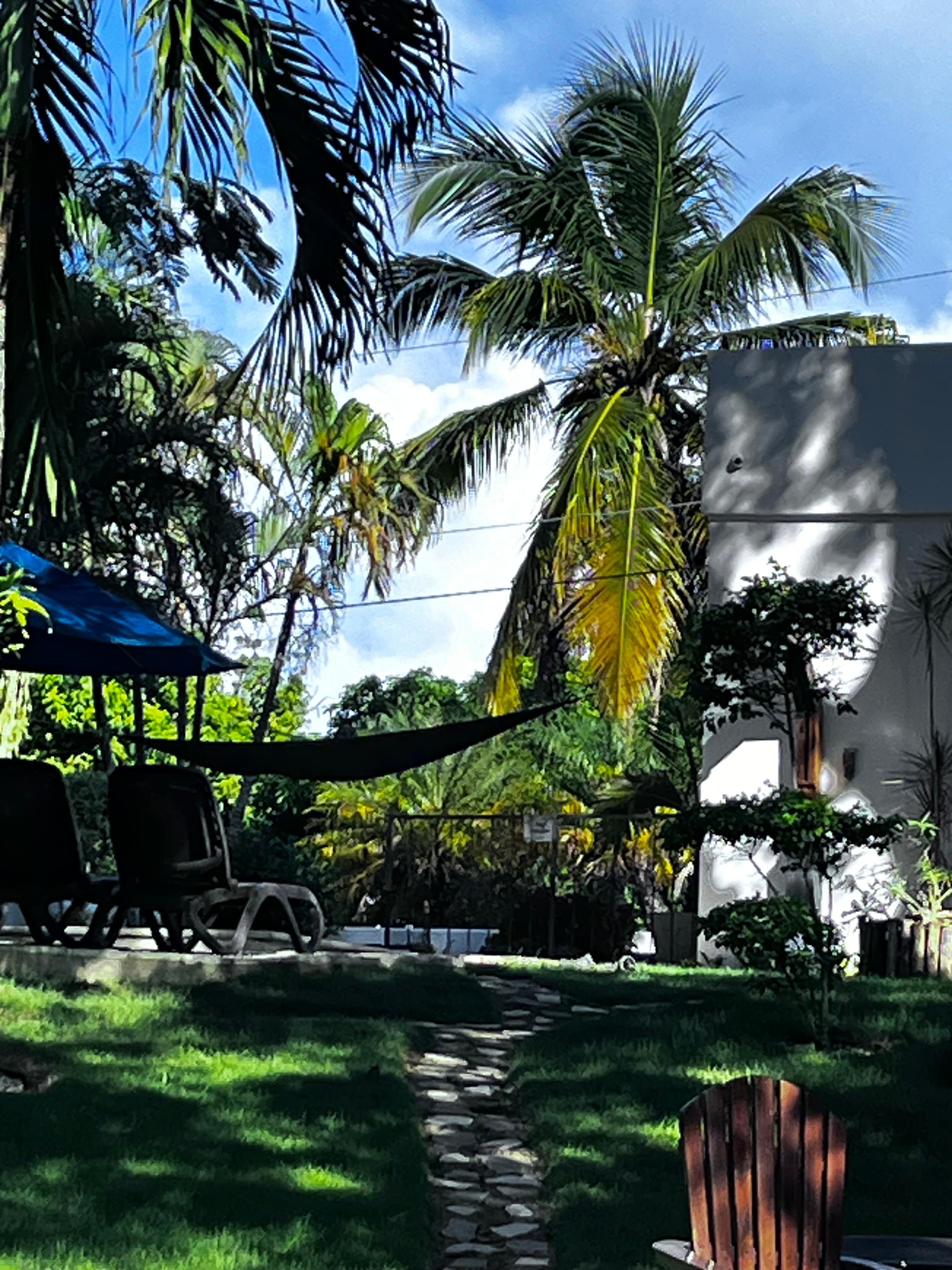 The breeze whispering through the palm trees