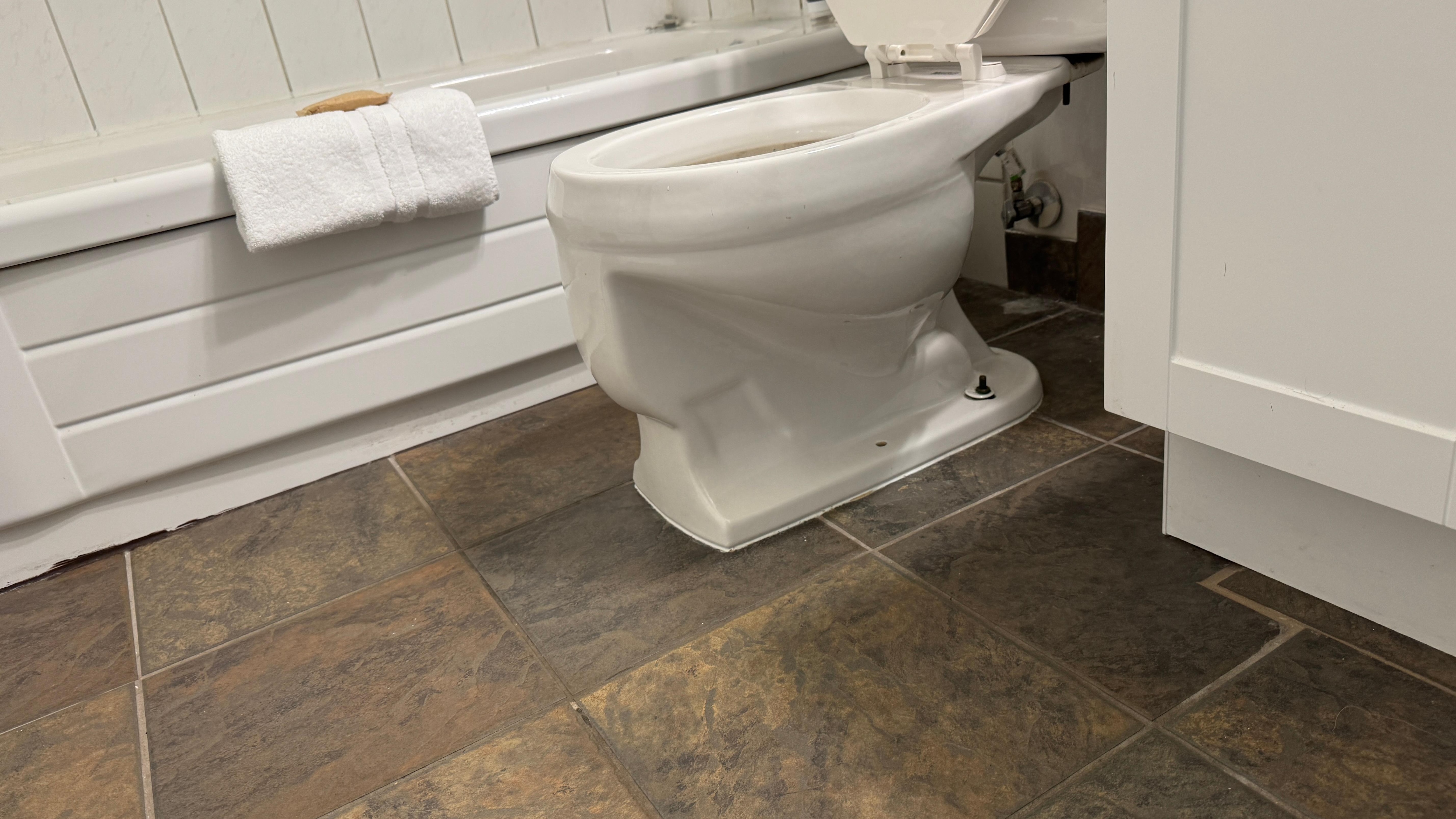 Dont think the toilet could get closer to the floor. 