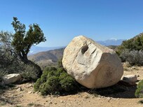 View from Joshua Tree National Park