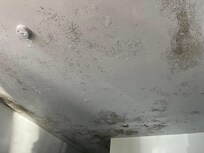 Leaky ceiling mold