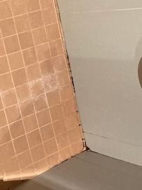 Mould in the shower