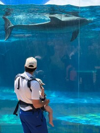 Mississippi Aquarium minutes down the road. Great family friendly time with some inside (air conditioned) exhibits too.