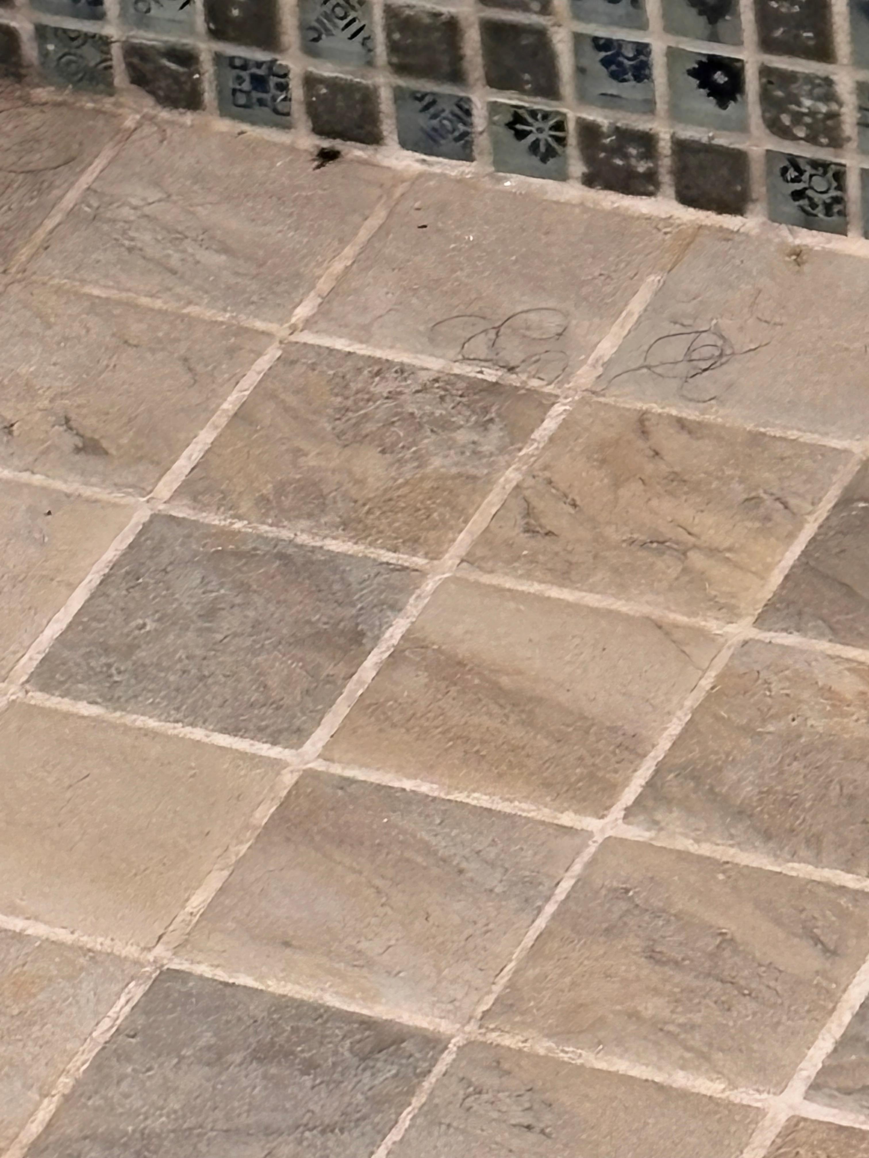 Hair left in shower daily by housekeeping