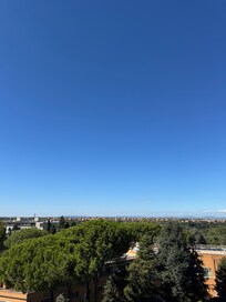 View from the room