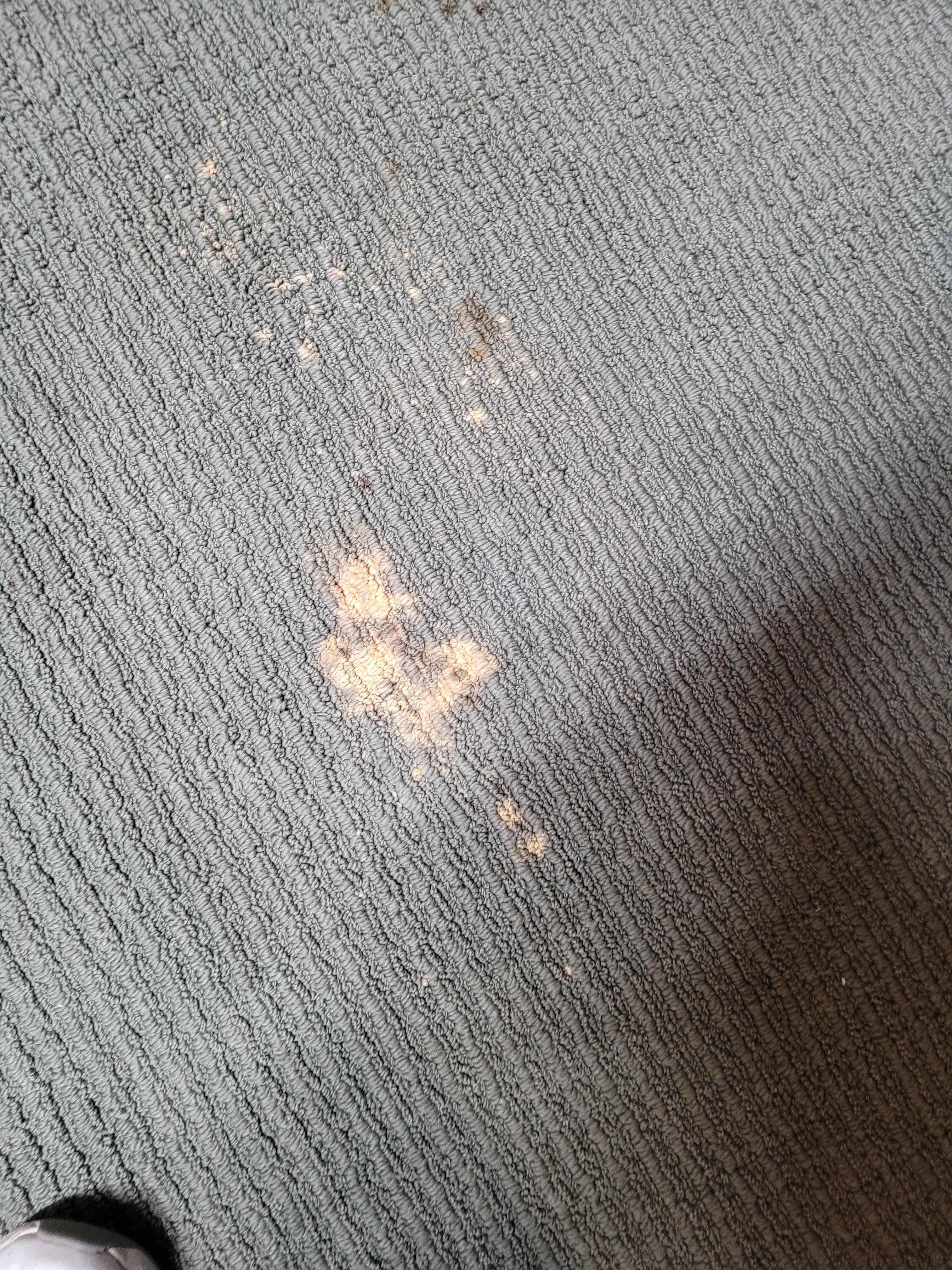 Carpet stains