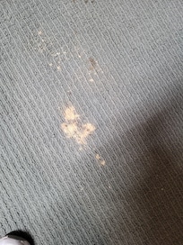 Carpet stains