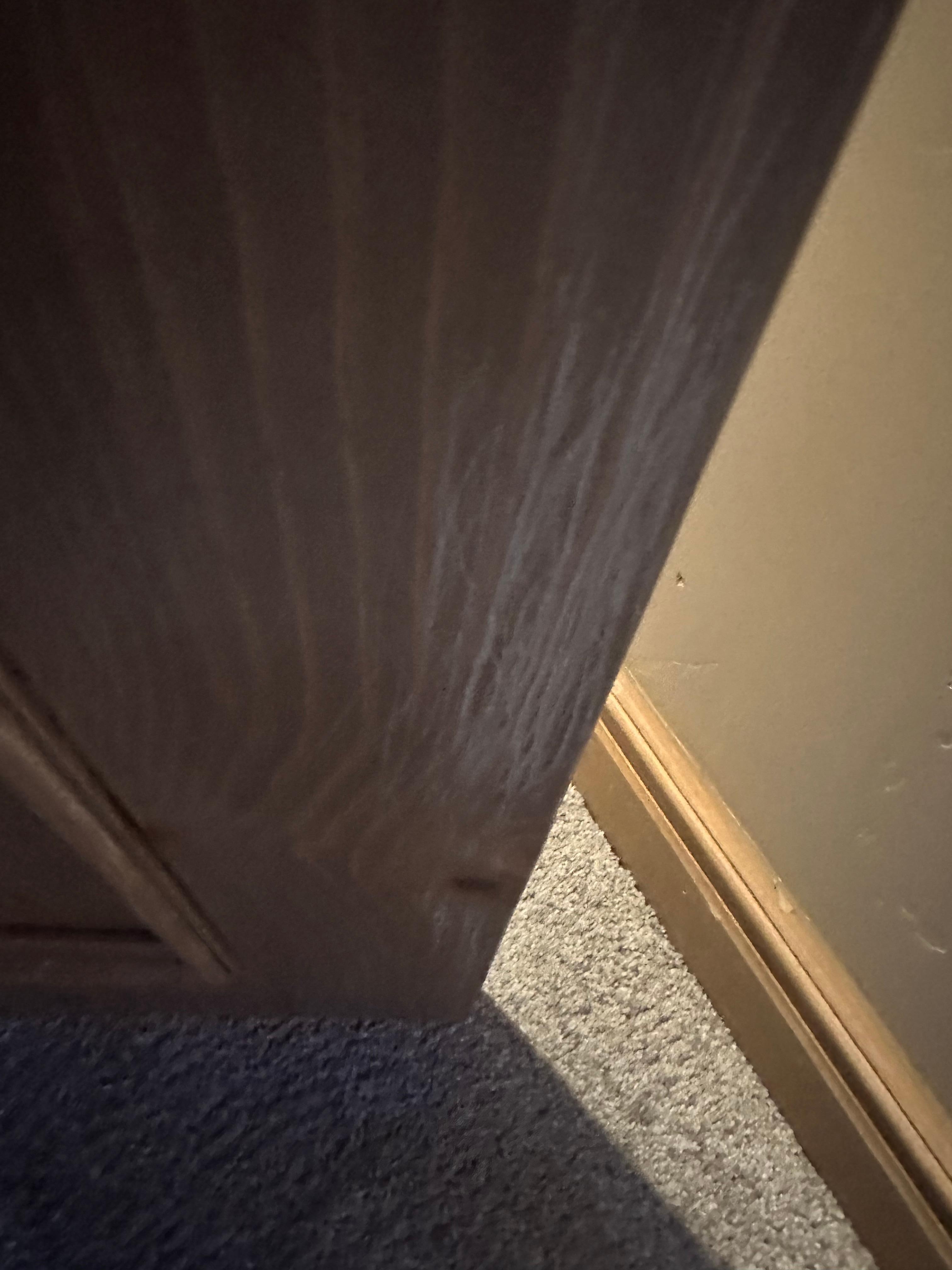 If you stay here please video every nook and cranny of the place