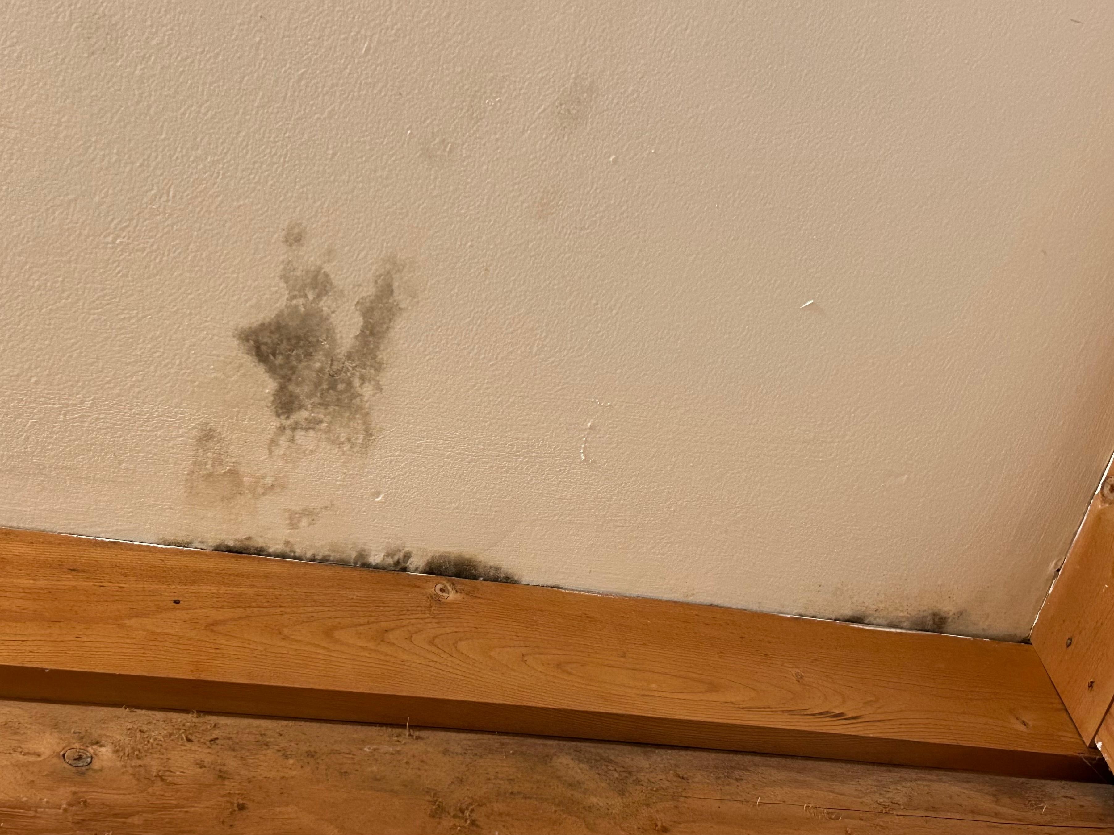 Mold in bathroom 