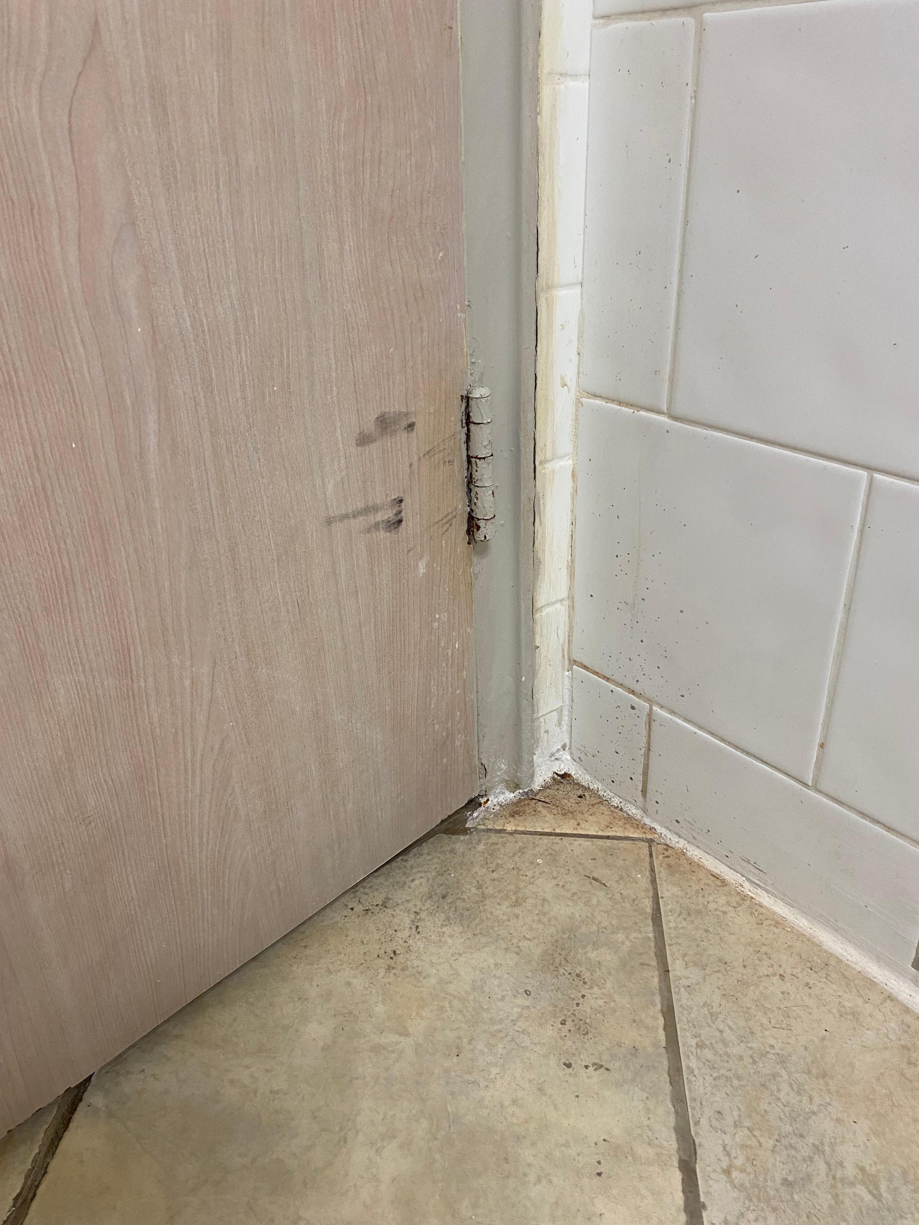 Mold inside bathroom