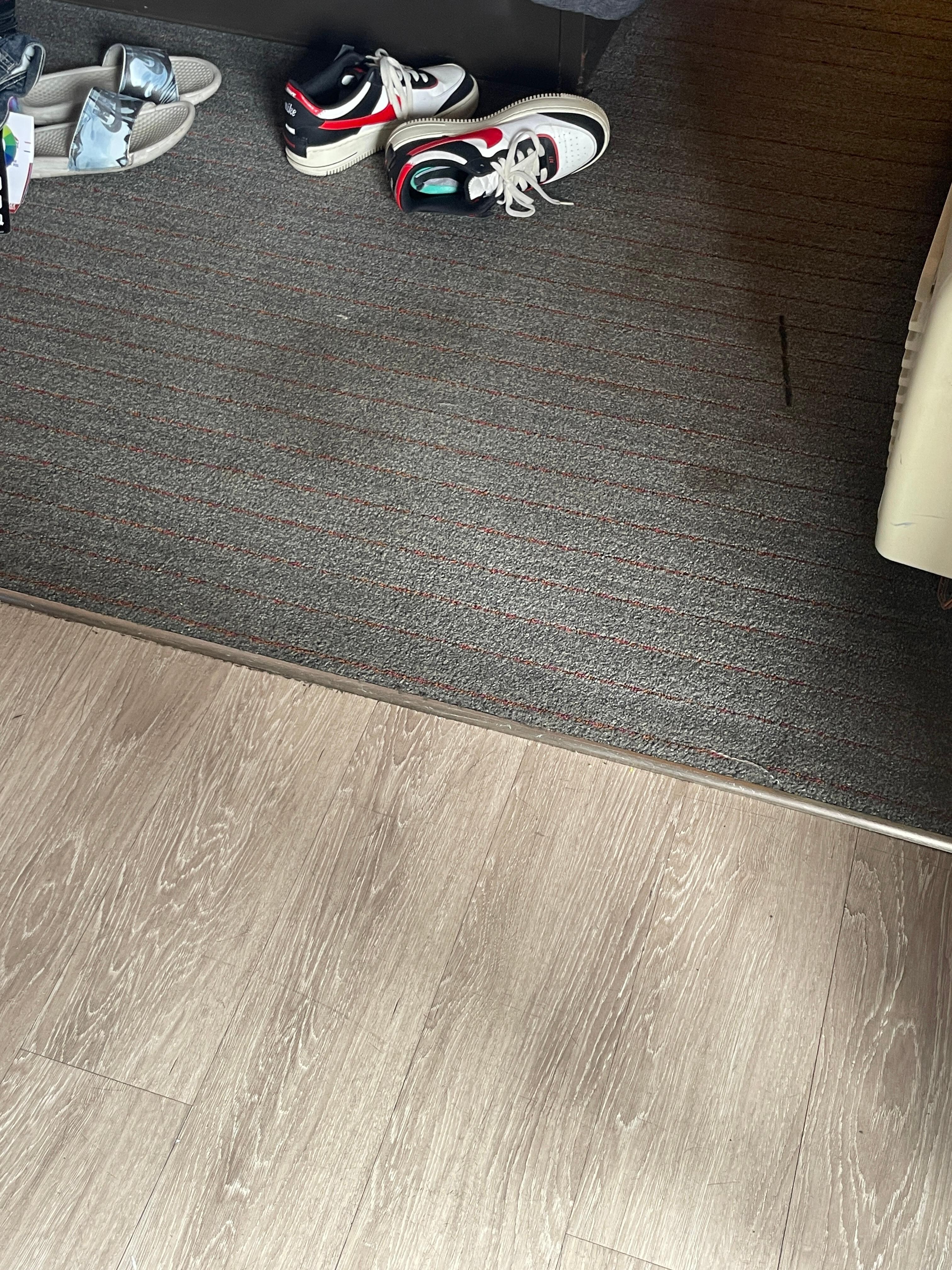 Stained carpet and smelly