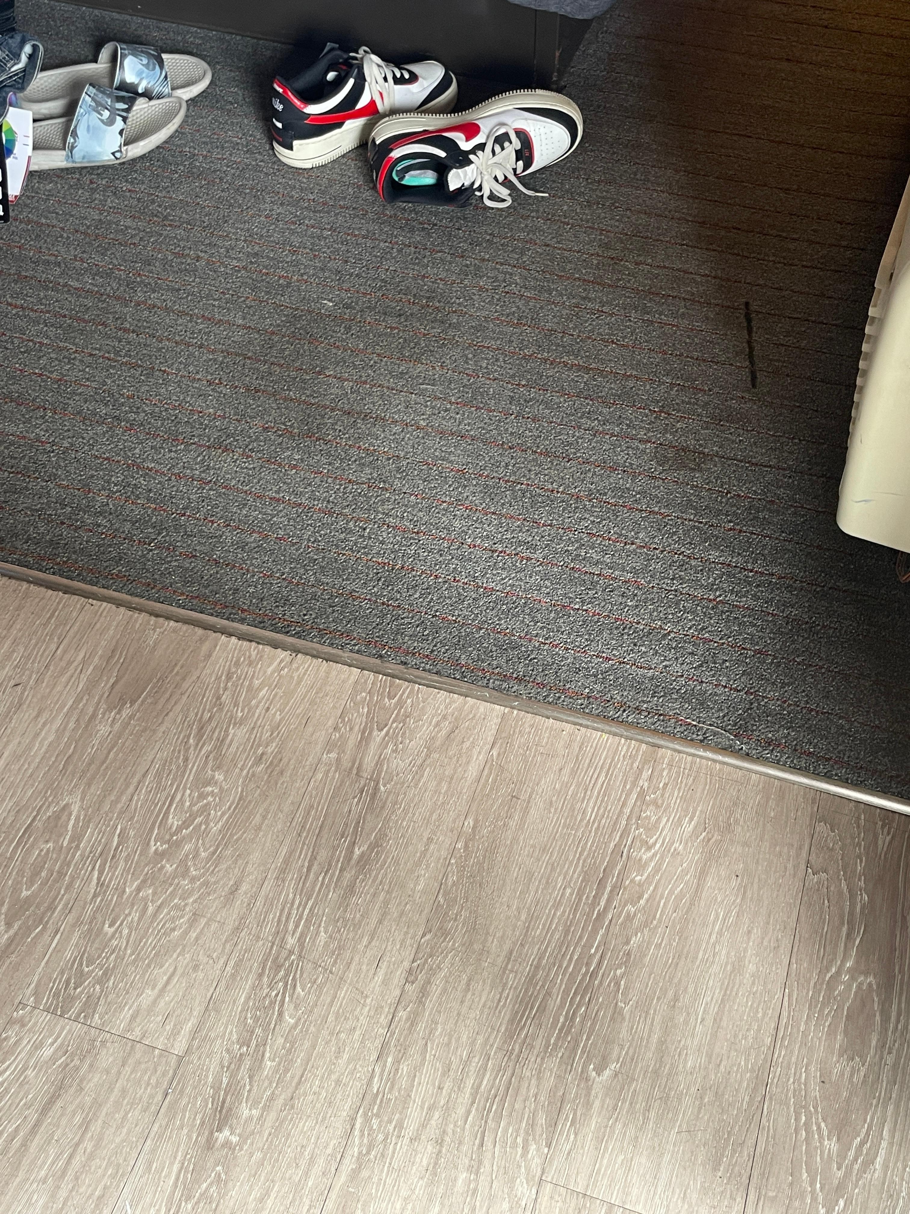 Stained carpet and smelly