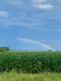 Rainbow on our anniversary day!