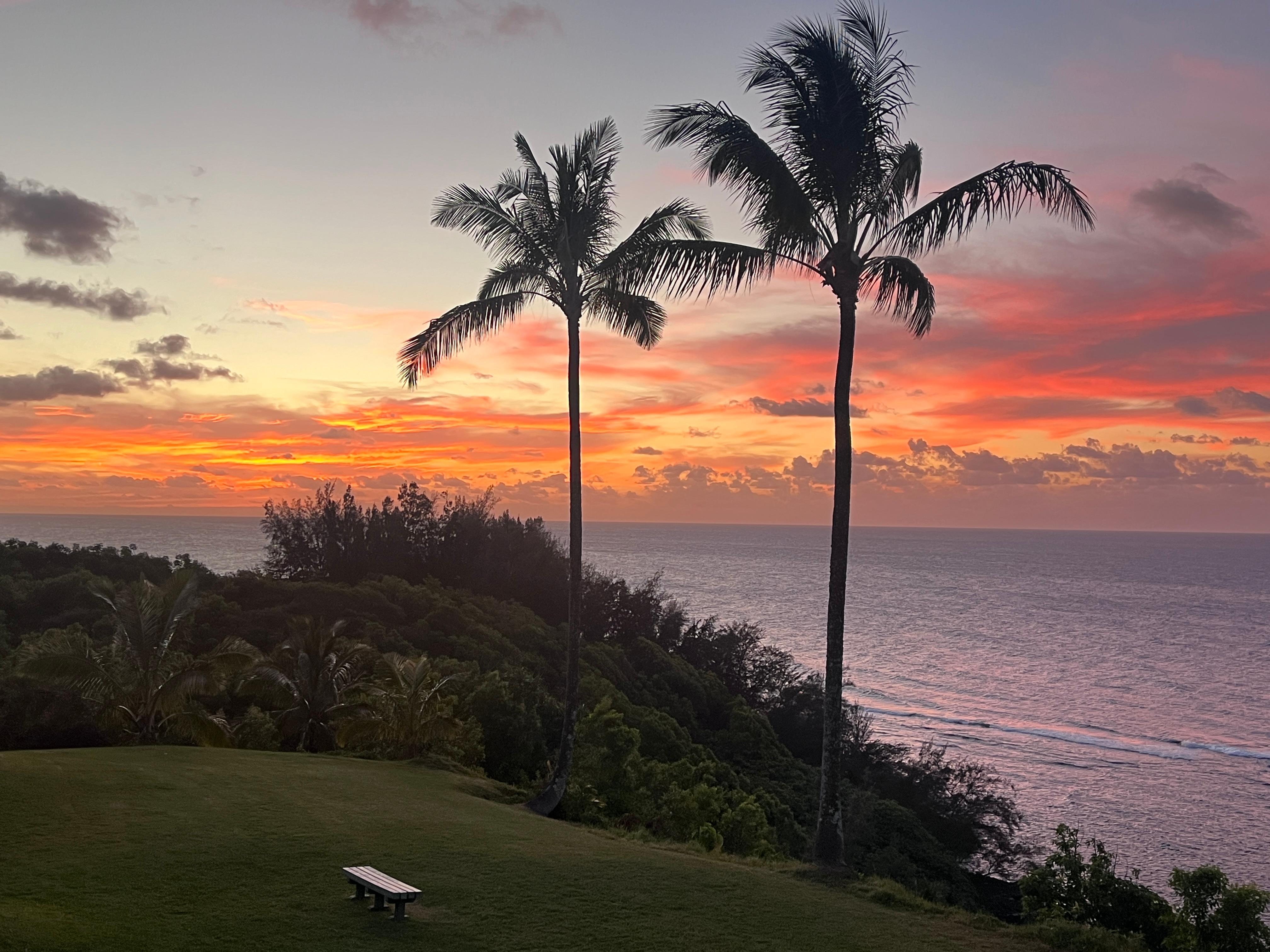 Doesn’t get much prettier!