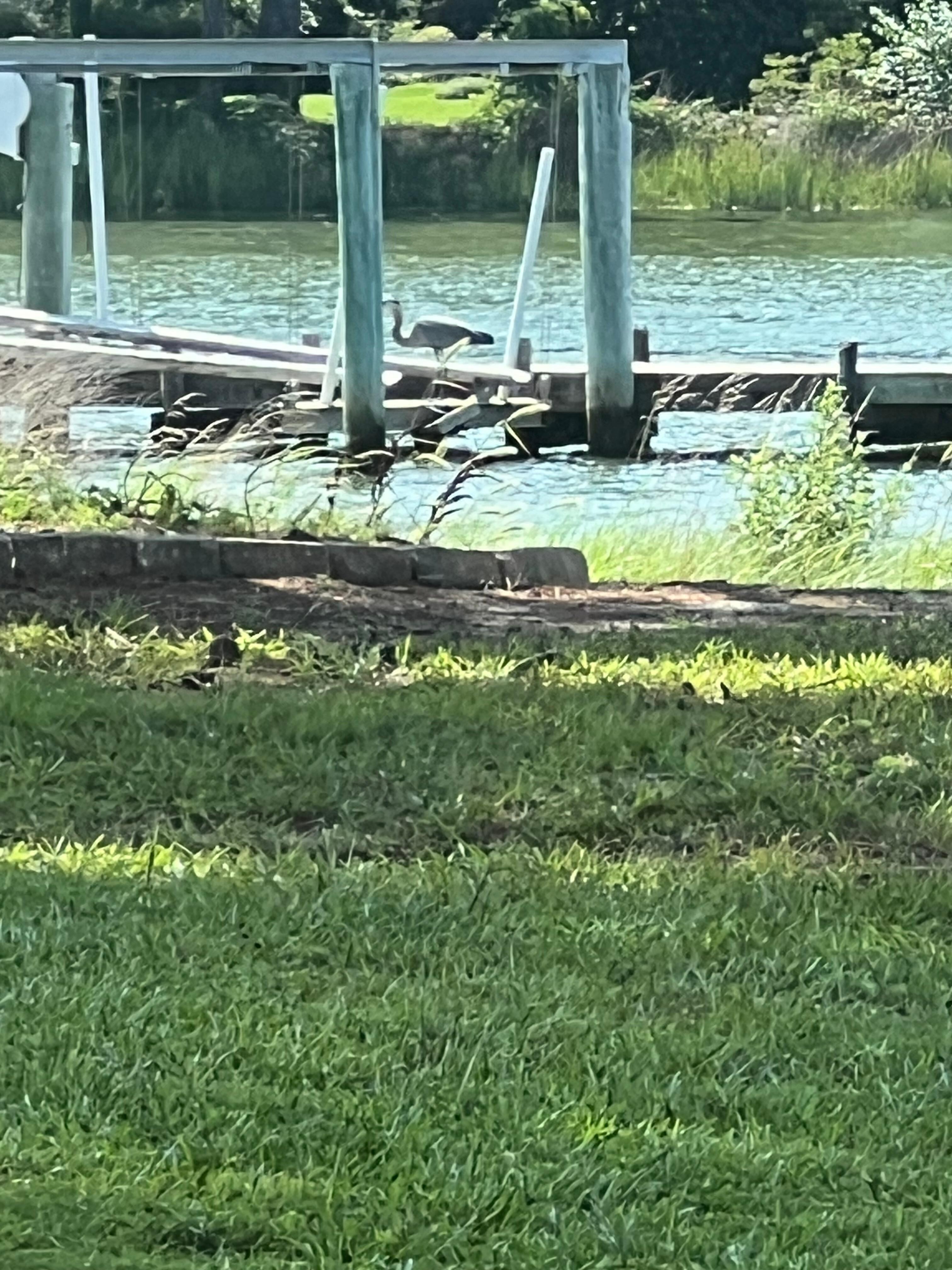 View from the patio