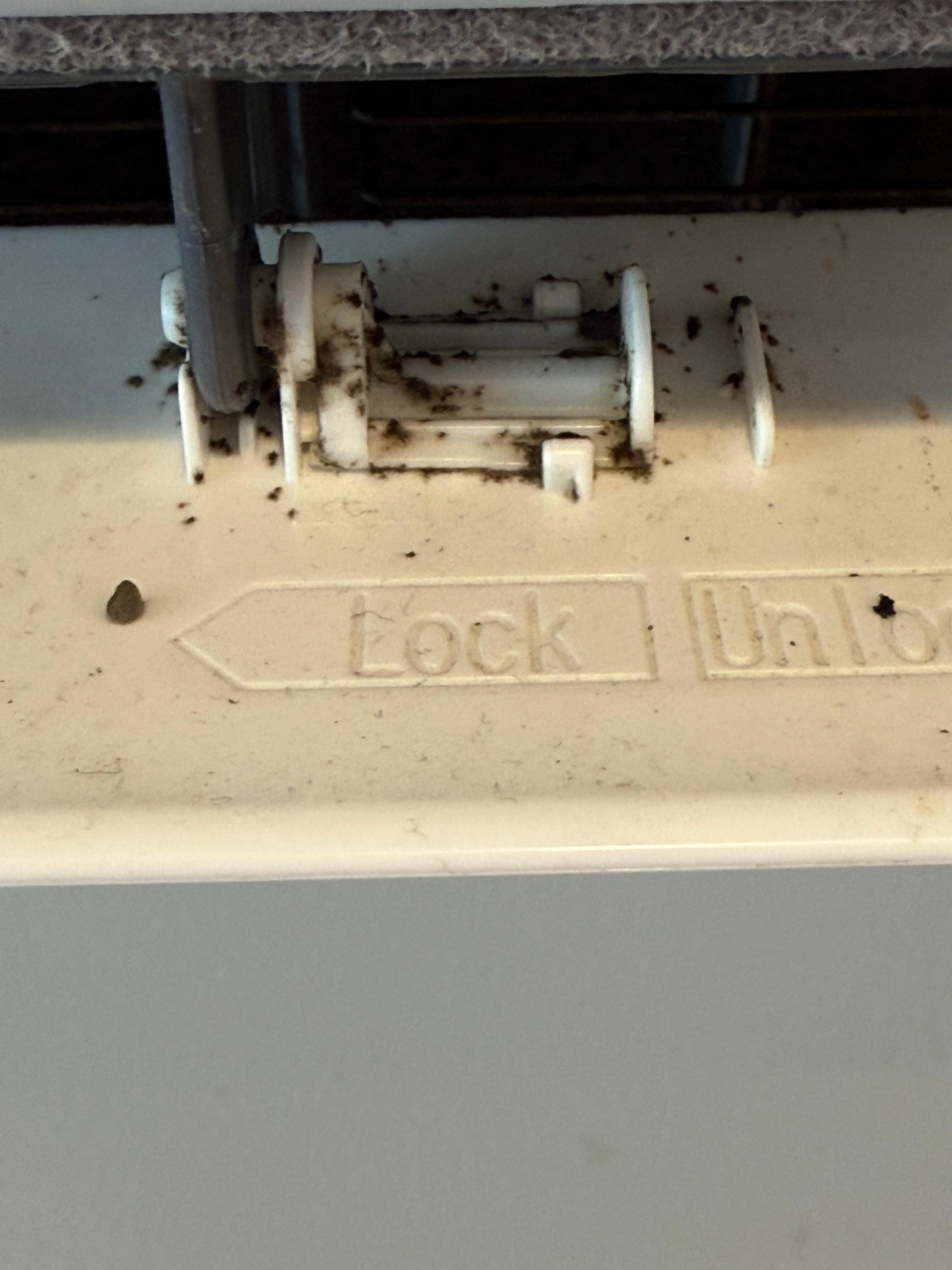 Some of the mold in the AC. It was worse on the inside but the app will not let me upload the video. 