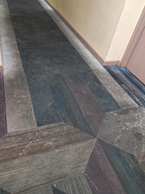 Carpet in the whole place